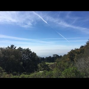 Meet your Posher, Wen qing